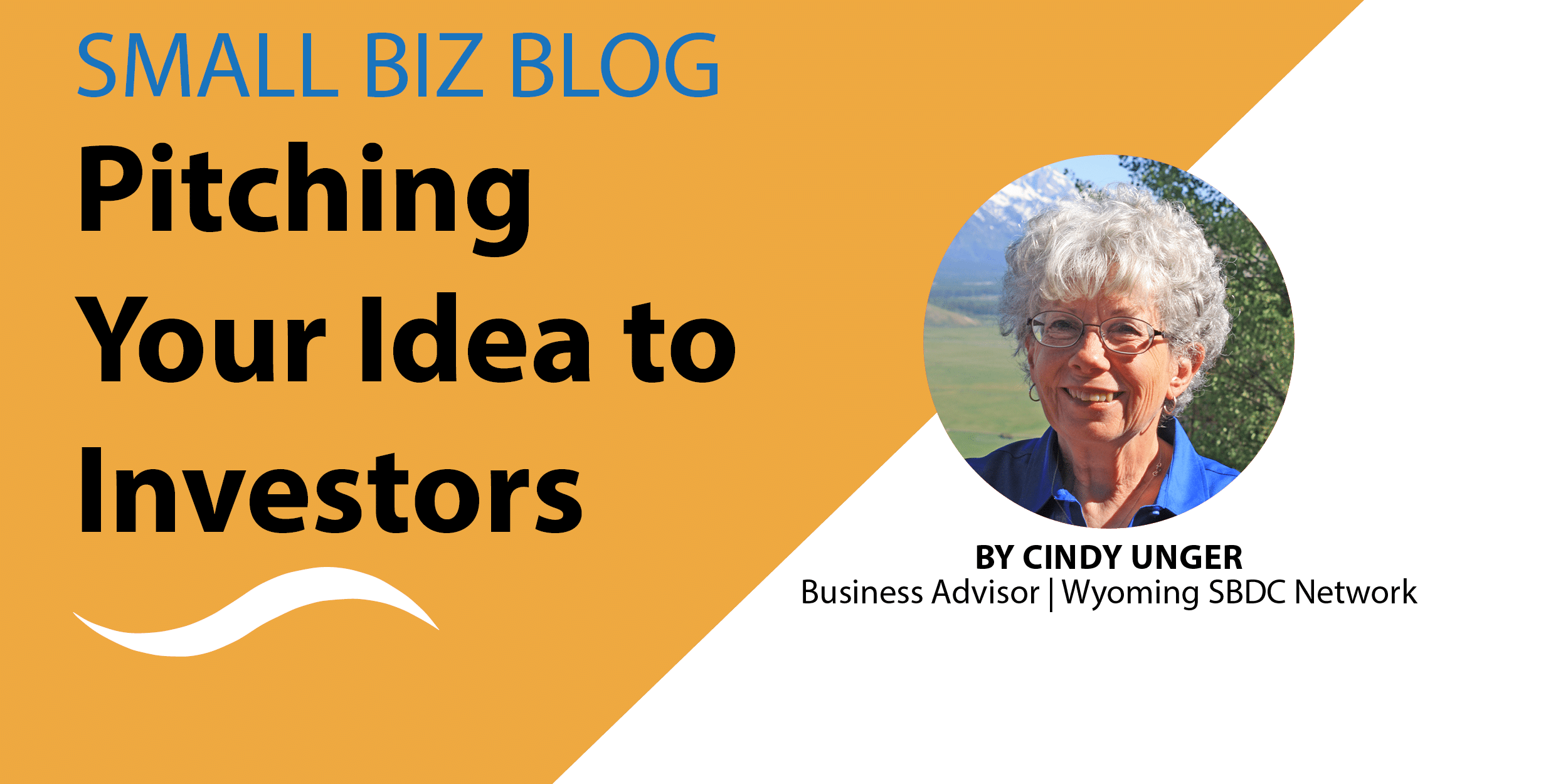 How to pitch an idea to potential investors