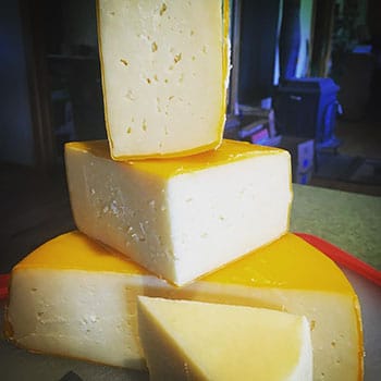 Mmmm - Cheese.jpg