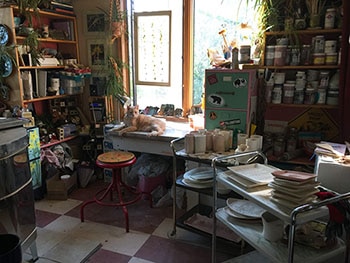 PBD studio and cat that is not allowed...bull in a china shop for web.jpg