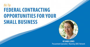 Banner Graphic titled: Federal Contracting Opportunities for Your Small Business.