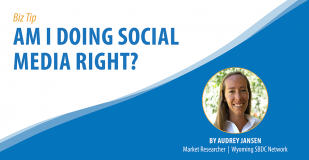 Biz Tip: Am I Doing Social Media Right. By Audrey Jansen, Market Researcher, Wyoming SBDC Network