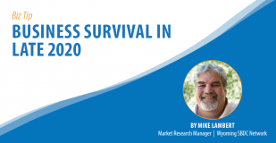 Biz Tip: Business Survival in Late 2020. By Mike Lambert, Market Research Manager, Wyoming SBDC Network.