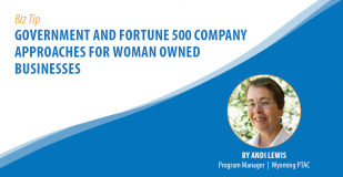 Biz Tip: Government and Fortune 500 Company Approaches for Woman Owned Businesses. By Andi Lewis, Program Manager, Wyoming PTAC.