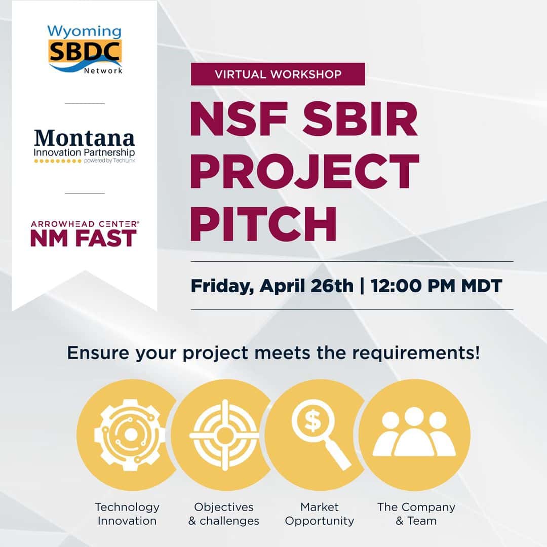 NSF SBIR Project Pitch